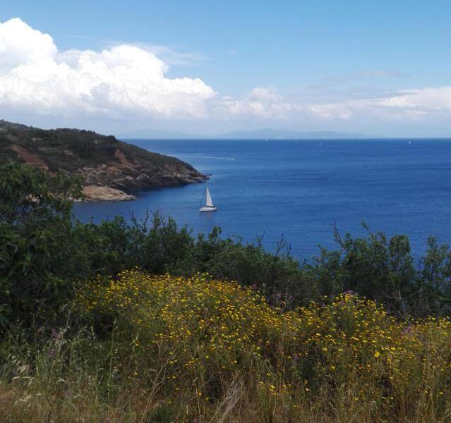 Vele a largo della spiaggia di Barbarossa